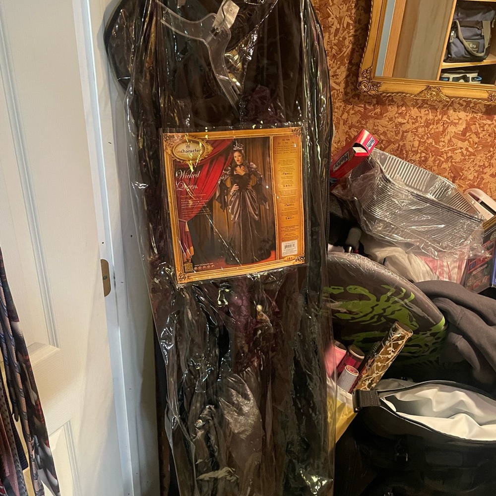 Halloween costume Wicked Queen. Crown not included.